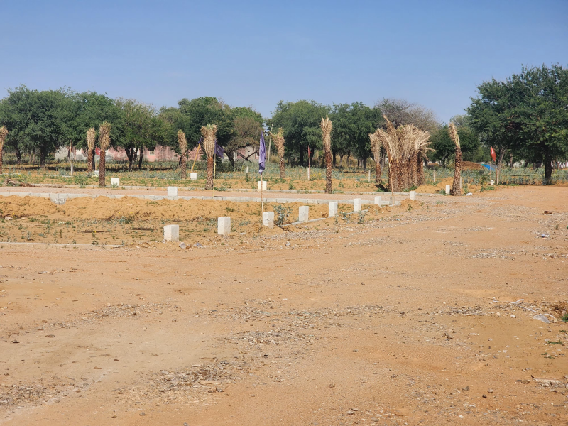 Project Site Image